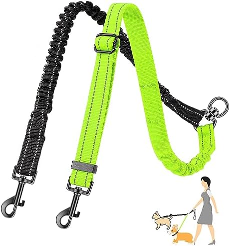 AUTOWT Two Dog Lead, 2 in 1 Upgraded Double Dog Leash Attachment Combine Adjustable Strap and Shock Absorbing Bungee No Tangle Dual Training Splitter for Different Size Dogs by AUTOWT