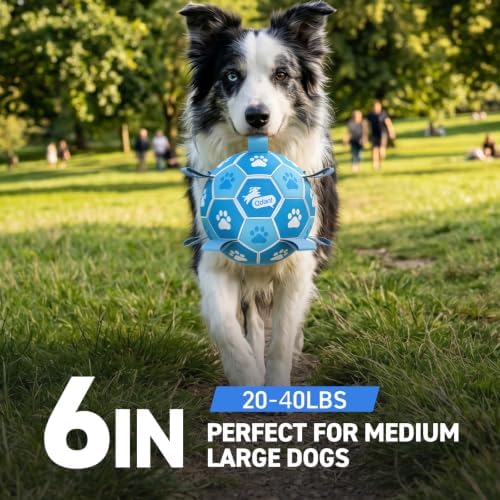 QDAN Dog Balls, 6 Inch Soccer Ball with Straps for Dogs, Outdoor Dog Toys - Image 3