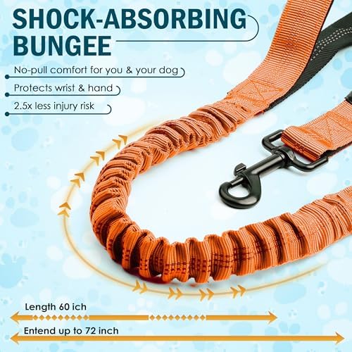 Hands Free Dog Leash with Waist Belt and Bungee for Walking - Image 2