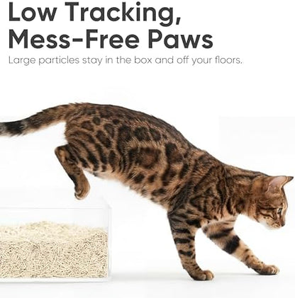 FUKUMARU Tofu Cat Litter, Corn Blend, Clumping, Odor Control, Low Dust 18lb - Image 5