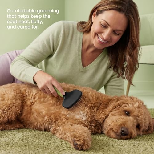 Poodle Pet Slicker Brush - For Dogs, Cats, Rabbits - Matted/Loose Fur, Knots - Suitable for Doodle/Goldendoodle Grooming and Shredding Short/Long Hair (Green) - Image 2