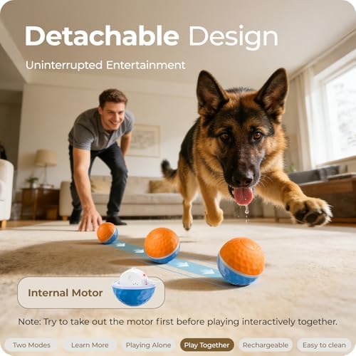 Interactive Dog Toys: Shaky Dog Ball with LED Lights, Automatic Moving Dog Toys for Aggressive Chewers, Dog Toys for Large Dogs, Vibrating Dog Toy Balls for Large Breed - (3.74 in Diameter) - Image 5