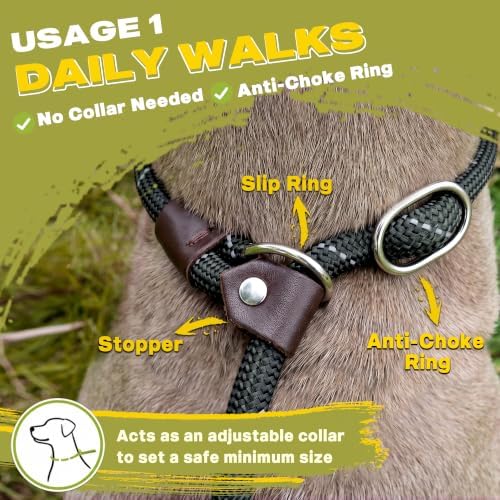 Fida Durable Slip Lead Dog Leash, 4 FT x 1/2" Dog Training Leash, Black - Image 4