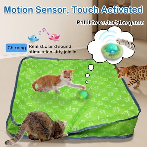 Waaiio Interactive Cat Toys for Indoor Cats,Automatic Moving Cat Ball in Pouch,Chirping Stimulation,Hide-n-Seek Chase Exercise Game,Motion Activate,Rechargeable Kitten Toys - Image 4