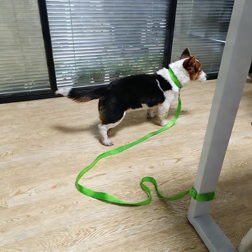 6FT Tie Out Dog Leash Dog Tie down 1"Wide Reflective Nylon Tether - Image 2