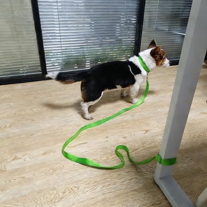 6FT Tie Out Dog Leash Dog Tie down 1"Wide Reflective Nylon Tether - Image 2