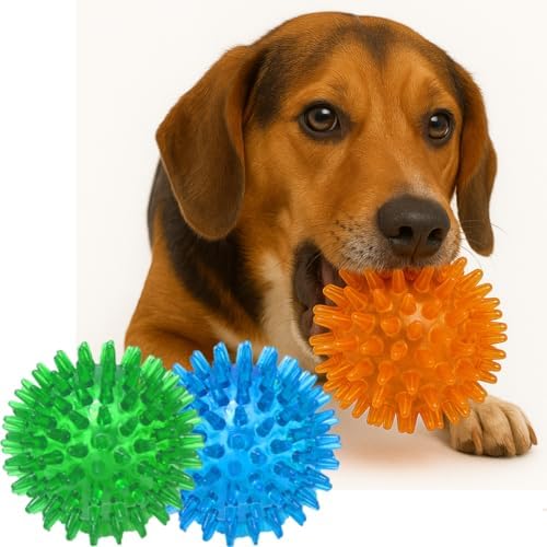 Jalousie Dog Squeaky Toys Value Set Non-Toxic Squeaky Balls Toss Fetch TPR Rubber Puppy Toys Spikey Dog Chew Toy for Small Medium Breed Pet Toys for Puppy (3 Pack Spiky Balls) by Jalousie