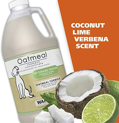 Wahl USA Dry Skin & Itch Relief Pet Shampoo for Dogs – Oatmeal Formula with Coconut Lime Verbena Scent - 64 Oz - Model 821004-050 - Image 5