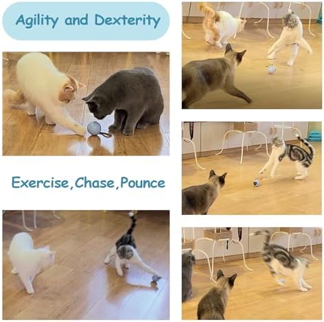 Migipaws Interactive Cat Ball Toy Set, Fun Tracker, Automatic Rolling Chase Ball with Fluffy Tail, A Small Mice, Rechargeable (Orange) - Image 5