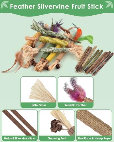 Bissap 20PCS Silvervine Chew Sticks, Catnip Chewing Toy for Cat Kitten - Image 4