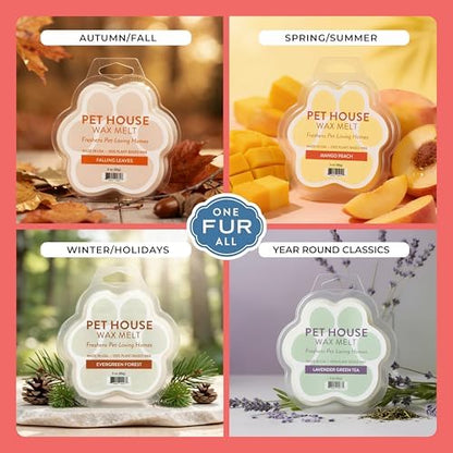 Vanilla Creme Brulee Wax Melts Plant-Based Wax, 2 Pack Pet House - Image 5