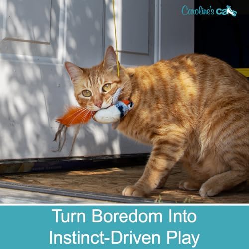 Hanging Bird Cat Toy for Indoor Cats, Motion Activated Chirping with Catnip - Image 3