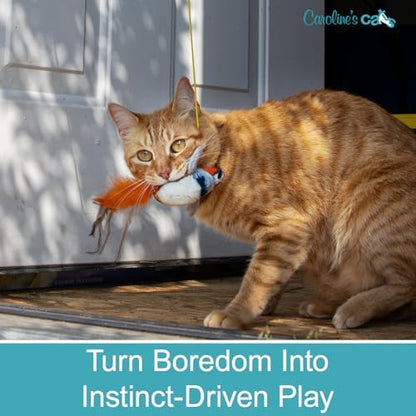 Hanging Bird Cat Toy for Indoor Cats, Motion Activated Chirping with Catnip - Image 3