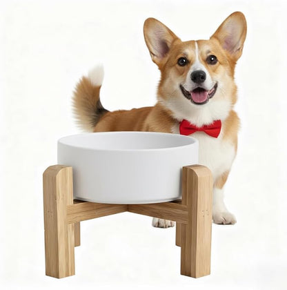 Elevated/Raised Ceramic Dog Bowl with Bamboo Stand，6 Inch 3.6 Cups Non Slip Heavy Weighted Single Pet Dish, for Small Medium Breed & Cats,Reduces Neck Strain White