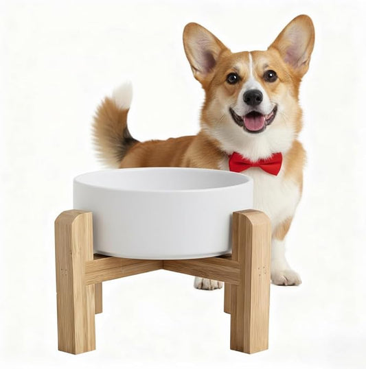 Elevated/Raised Ceramic Dog Bowl with Bamboo Stand，6 Inch 3.6 Cups Non Slip Heavy Weighted Single Pet Dish, for Small Medium Breed & Cats,Reduces Neck Strain White