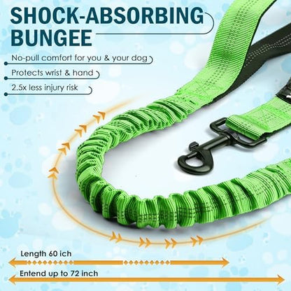 Hands Free Dog Leash for 2 Dogs, Waist Leash with Dual Bungee - Image 2