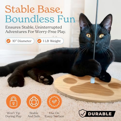 Cat Toys For Indoor Cats: Interactive Cat Toy Wand, 9 Feathers Wand Lures - Image 5