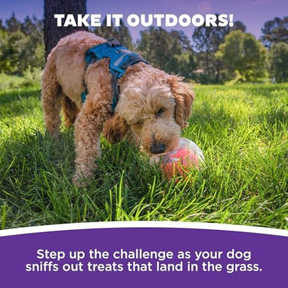 Outward Hound by Nina Ottosson Topsy Treat Ball Dog Puzzle, Level 1 Beginner, Orange - Image 5