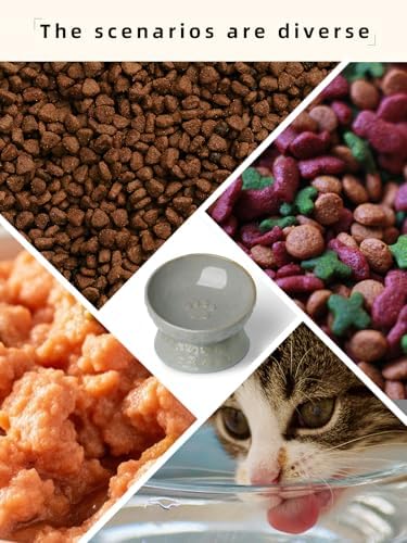 Ceramic Cat Food Bowl, 15° Tilted Raised Cat Food Bowl 5 oz (Vintage Grey) - Image 5
