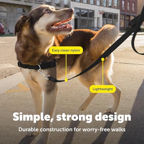 PetSafe Nylon Dog Leash - Strong, Durable, Traditional Style Leash with Easy to Use Bolt Snap - 3/4 in. x 4 ft., Black - Image 4