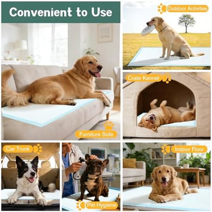 Large Puppy Pee Pads for Dogs 31" x 47" 40 Count, 6-Layer Leak-Proof XXXL Dog Pee Pads Extra Large, Super Absorbent Quick-Dry Thick Disposable Potty Training Pads - Image 6