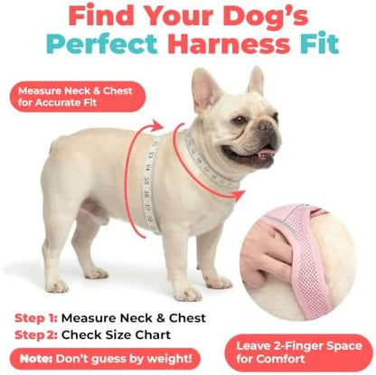 Voyager Step-in Air Dog Vest Harness - Sky Blue, Medium - Image 6