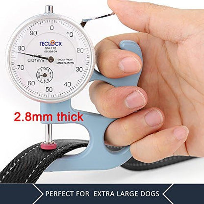Plutus Pet Double Handle Dog Leash, 4 FT Long, for Medium Large Dogs - Image 5
