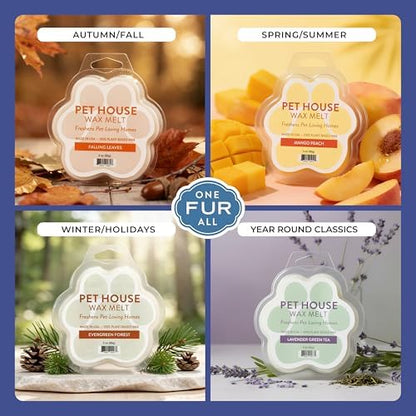 Wild Blueberries Summer Wax Melts Plant-Based Wax, 2 Pack Pet House - Image 4