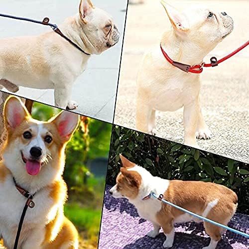 MayPaw Slip Lead Control Leash for Dogs No Pull, 13+ Colors Classic Dog Lead 7FT Pet Slip Leash, 1/4” Rope Leashes for Small Medium Animals Purple