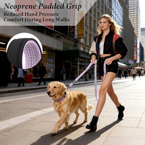 Double Handle Dog Leash, 6 FT Reflective, for Medium Large Dogs - Image 5