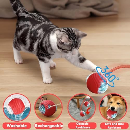 Speedy 2.0 Tail Interactive Cat Toys for Indoor Cats, Automatic Cat Toy with Elastic Mesh Tail, Electric Rolling Ball on Carpet, Chirping and Motion Activate Cat (Red) - Image 4