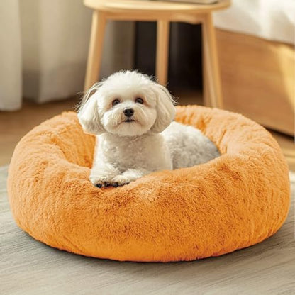 JOLLYVOGUE Dog & Cat Bed, Calming Anti-Anxiety Pet Bed for Small Dogs, Fluffy Donut Cushion for Small and Medium Pets (20") by JOLLYVOGUE