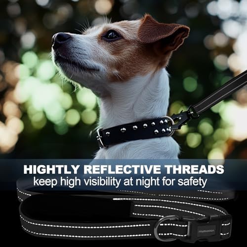 Heavy Duty Hands Free Dog Leash with Quick Release Carabiner and Adjustable No Pull Bungee Dog Running Waist Leash，for Walking and Training with Car Seat Belt 4-6FT (Black) - Image 5