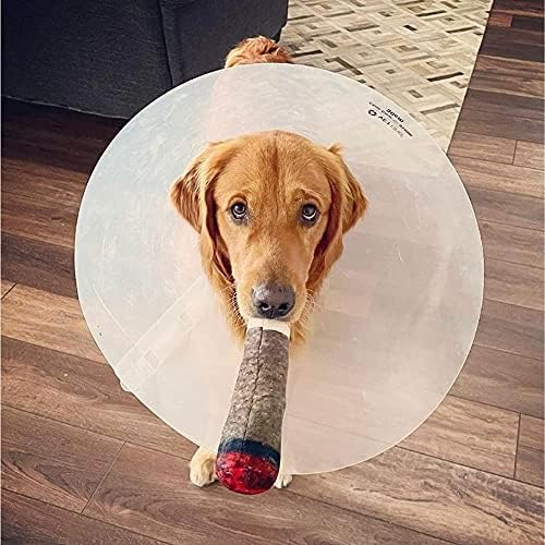 Nestpark Doggy Doobie - Funny Dog Toys - Plush Squeaky Toys for Medium, Small and Large - Cool Stuffed for Dog Birthday - Image 6