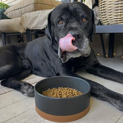 Mora Ceramic Pet Bowl - Large Food/Water Dish for Large Dogs, Cats, Great Dane, Mastiff - 50oz or 8 Cups - Basic Bowls - Charcoal - Image 5