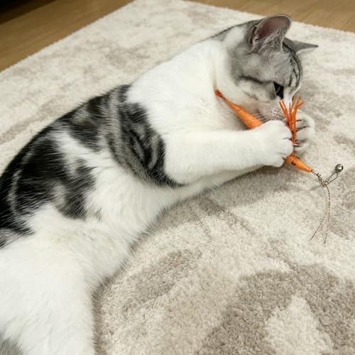 IUHKBH Shrimp Cat Toy Attachments, 3 PCS Simulation Insects Shrimp Refills Cat Toys Replacement for Indoor Cat Kitten Enrichment & Hunting - Image 5