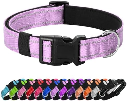Reflective Dog Collar, Adjustable Nylon for Puppy, Lavender XS by Penseepet