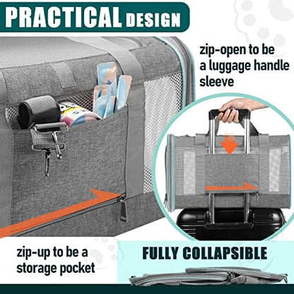 GAPZER Large Cat Carrier Soft, Collapsible Travel Pet Carry Bag, Small Dogs - Image 3