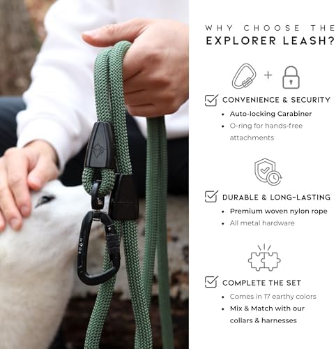 MADE TO ROAM Premium Explorer Leash - Climbing Rope Leash with Autolocking Aviation Aluminum Carabiner - Virginia Mountains, 6ft - Image 2