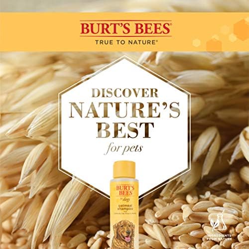 Burt's Bees for Dogs Natural Oatmeal Dog Shampoo | With Colloidal Oat Flour & Honey | Cruelty Free, Sulfate & Paraben Free, pH Balanced for Dogs - Made in USA, 16 Oz - Pack of 6 - Image 6