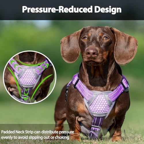 Huntboo Escape Proof Dog Harness, Dachshund Harness, Reflective Dog Harness with Handle, Durable,Adjustable Vest for Small Medium Large Dogs Walking, Training, and Running Gear (Lavender Purple,XL) - Image 5