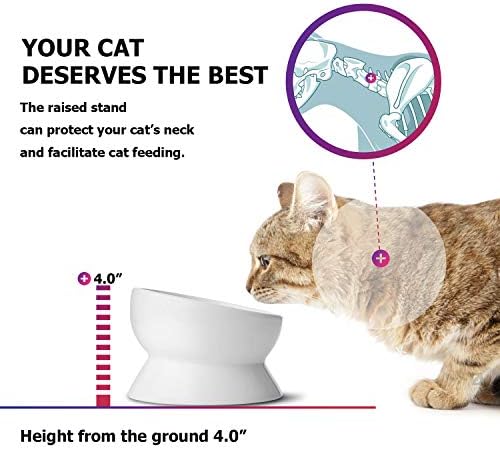 Y YHY Elevated Cat Food Bowl, Raised Food and Water Bowl for Cat and Small Dog, Tilted Ceramic Water Bowls No Spill,15oz, Dishwasher Safe - Image 4