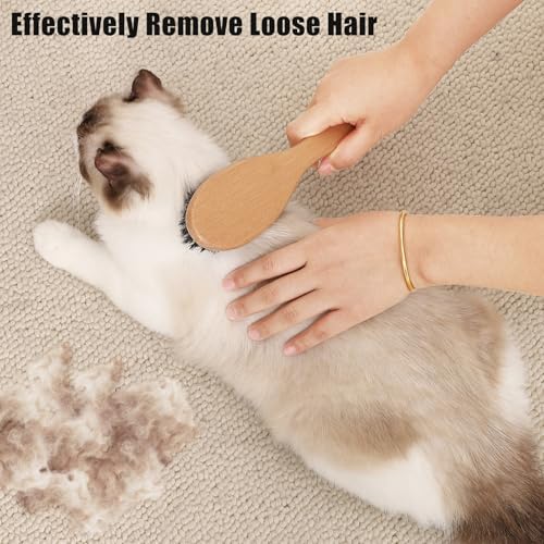 Boar Bristle Cat Brush with Wooden Handle, Soft and Gentle, Reduce Shedding, Make Coat Soft, Smooth and Shinny, Daily Grooming Tool for Short Haired Cats, Kitten - Image 5