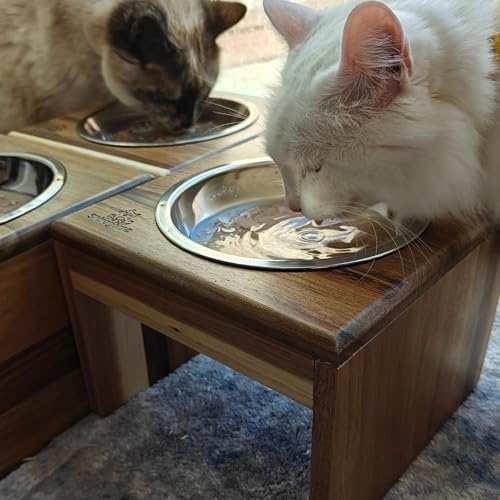 Raised Cat Bowls, 6.25 in Wide, 6" Elevated Cat Feeding Stand (with 2 Stainless Steel Bowls: 12 oz/1.5 Cup), Small Dogs, Rabbits, Anti-Vomit, Whisker Friendly, 6 x 8 x 8 in, Acacia Wood - Image 5