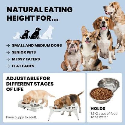 MalsiPree Elevated Dog Bowls - 6.5in Raised Stand, 2 Steel Bowls - Image 6