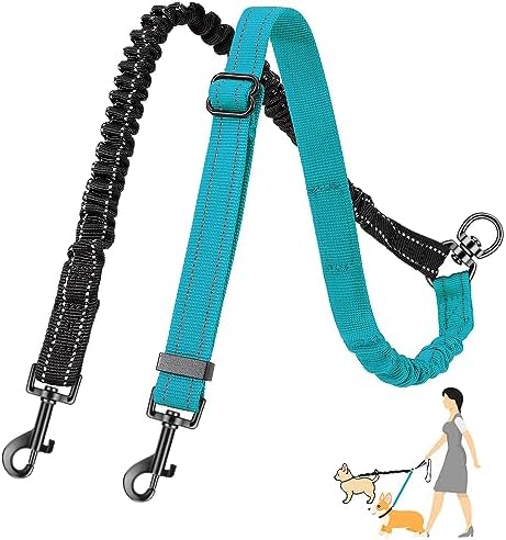 AUTOWT Two Dog Lead, 2 in 1 Upgraded Double Dog Leash Attachment Combine Adjustable Strap and Shock Absorbing Bungee No Tangle Dual Training Splitter for Different Size Dogs by AUTOWT