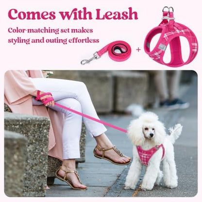 rabbitgoo Dog Harness Medium Sized and Leash Set, Step-in Puppy Pet Vest - Image 7