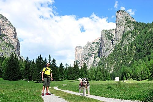 Neewa Dog Walking Belt with Pocket and Collapsing Bowl, Ideal for Trekking, Hiking, Running with Dog, and Hands Free Dog Leashes