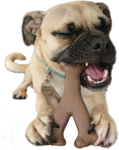 SPOT Bam-Bones Wishbone - Made with Strong Bamboo Fiber, Durable Long Lasting Dog Chew for Light to Moderate Chewers, Great Toy for Adult Dogs & Teething Puppies Under 30lbs, 5.25in, Chicken Flavor