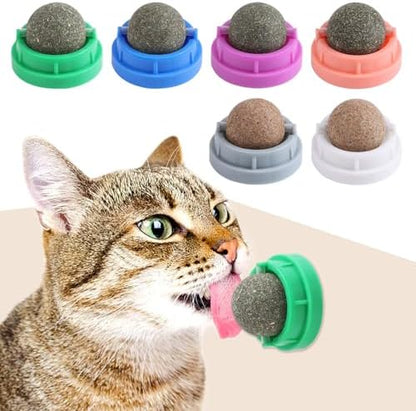 KIMOBER 6 Pack Catnip Ball for Cats,Edible Kitten Chew Toys with Catnip Silvervine Gall Fruit Flavors for Cats Lick Dental Teeth Cleaning Cats Wall Treats by KIMOBER